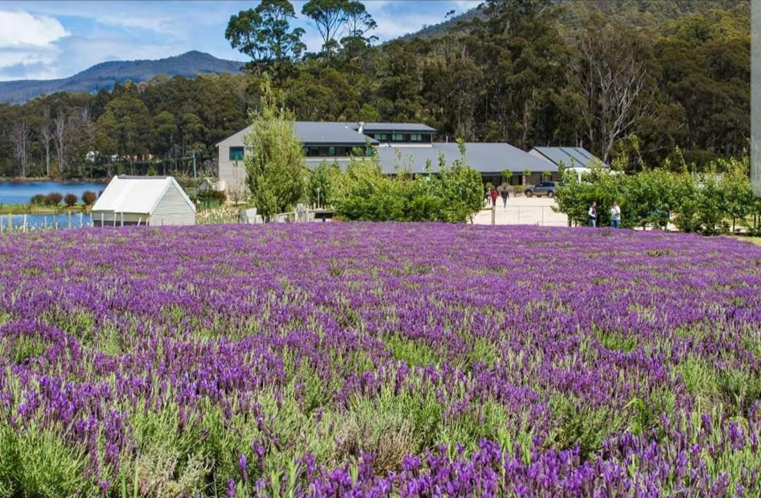 Ruby'S Cottage Farm Stay Port Arthur Eksteriør bilde