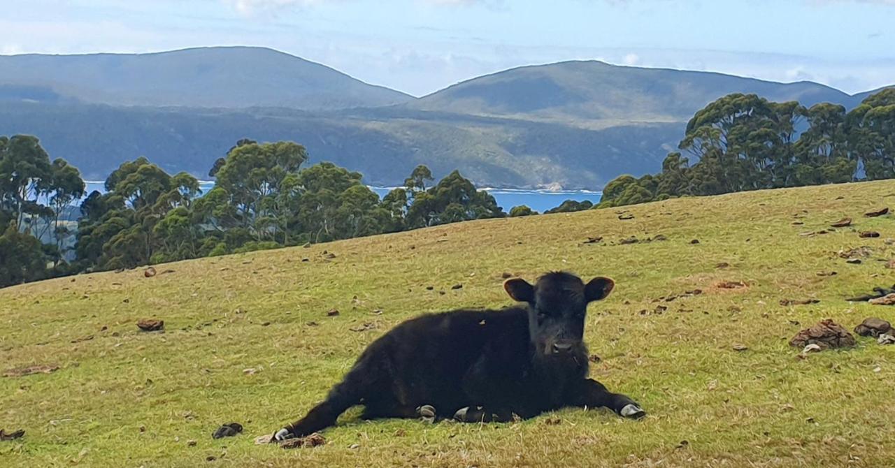 Ruby'S Cottage Farm Stay Port Arthur Eksteriør bilde