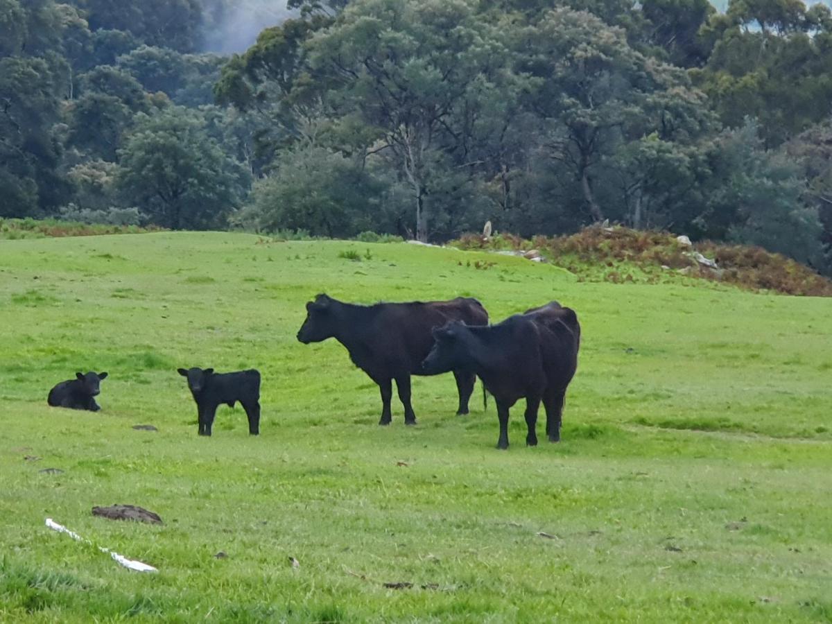 Ruby'S Cottage Farm Stay Port Arthur Eksteriør bilde