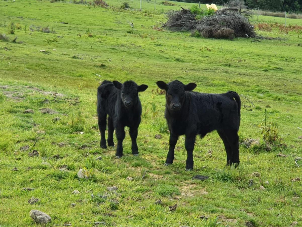 Ruby'S Cottage Farm Stay Port Arthur Eksteriør bilde