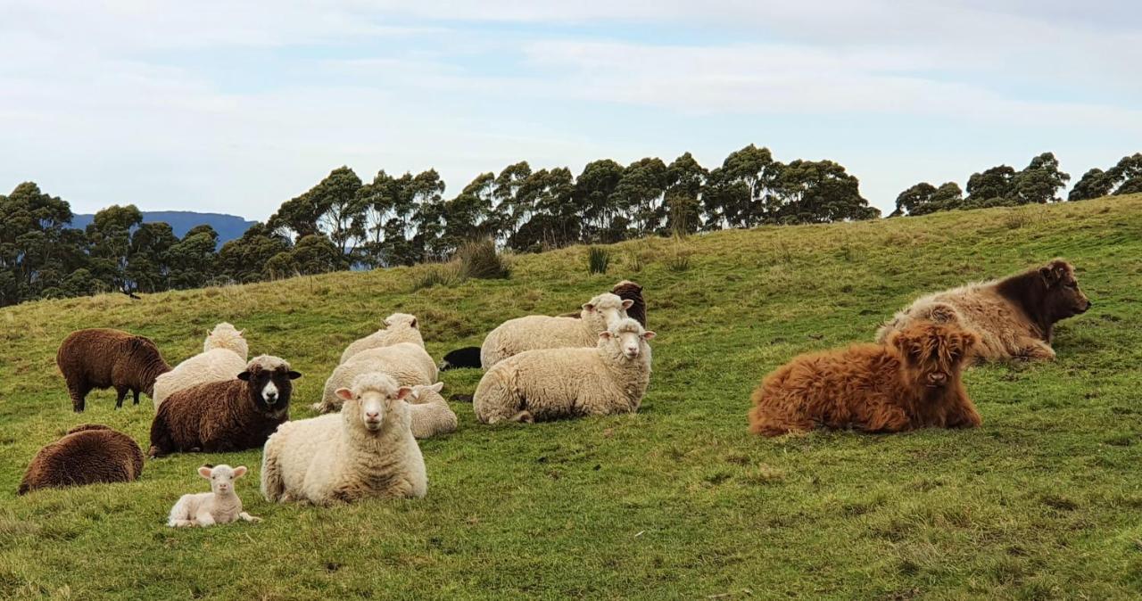 Ruby'S Cottage Farm Stay Port Arthur Eksteriør bilde
