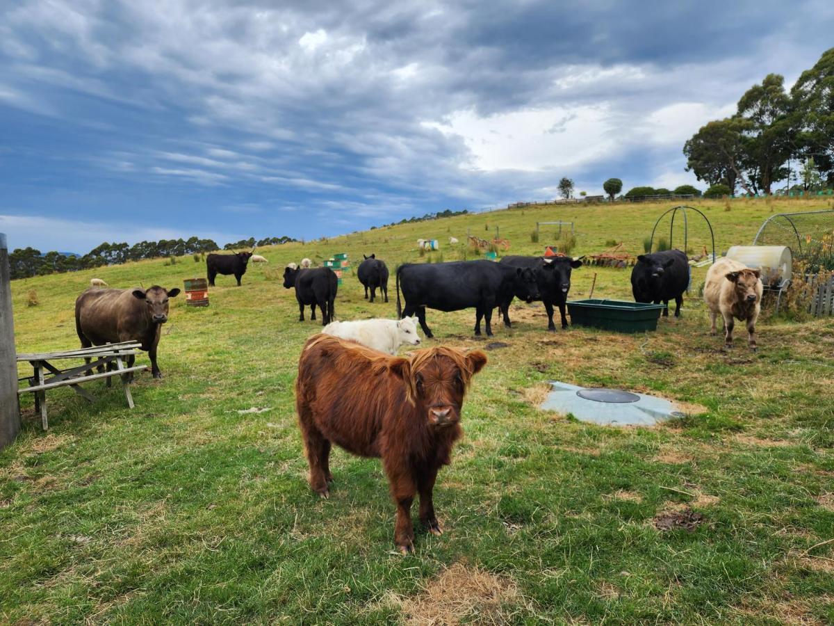 Ruby'S Cottage Farm Stay Port Arthur Eksteriør bilde