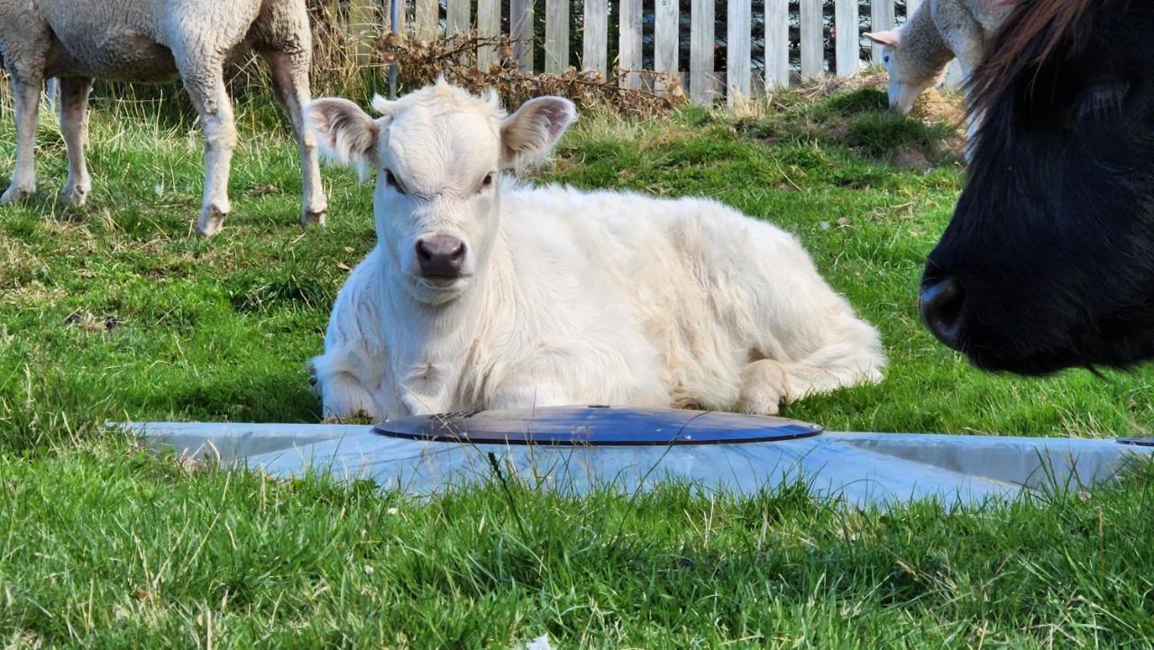 Ruby'S Cottage Farm Stay Port Arthur Eksteriør bilde