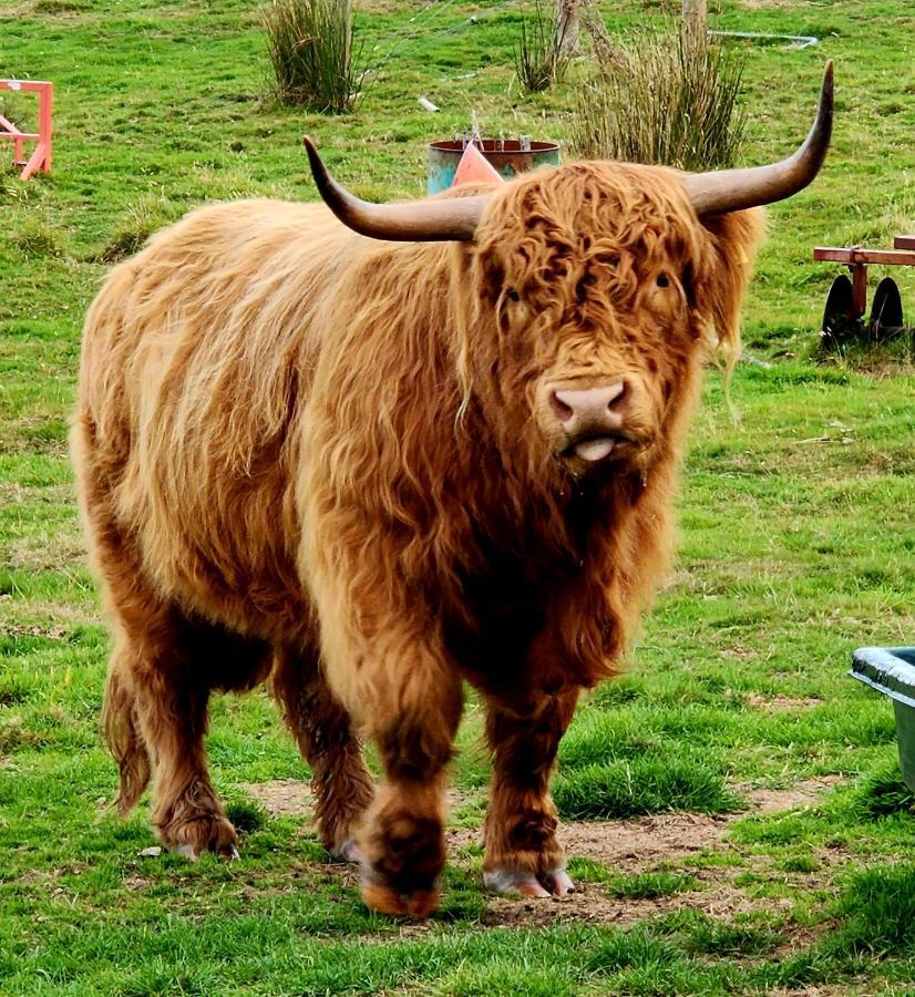 Ruby'S Cottage Farm Stay Port Arthur Eksteriør bilde
