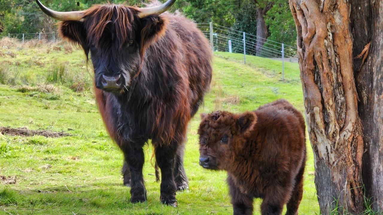 Ruby'S Cottage Farm Stay Port Arthur Eksteriør bilde