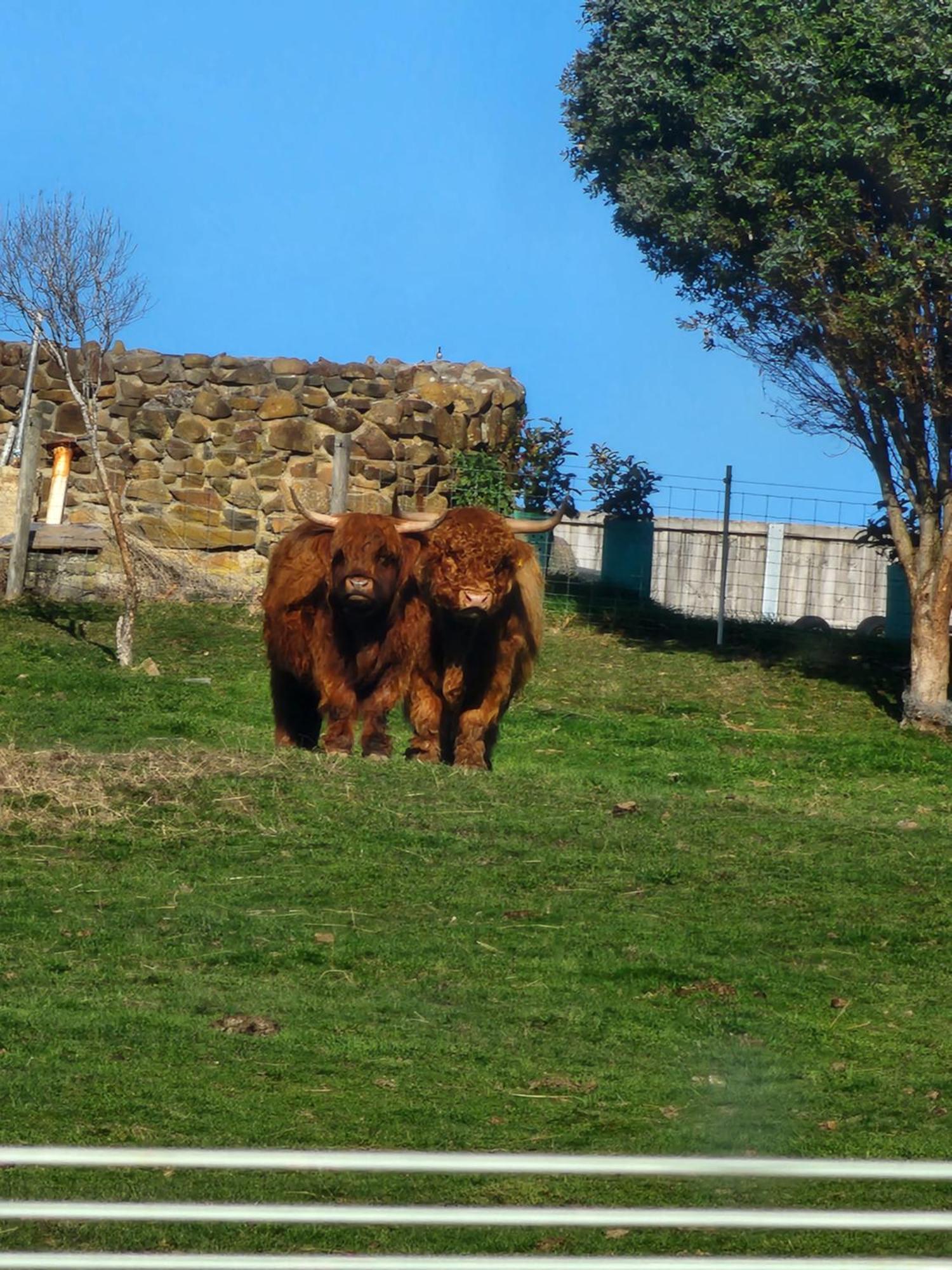 Ruby'S Cottage Farm Stay Port Arthur Eksteriør bilde