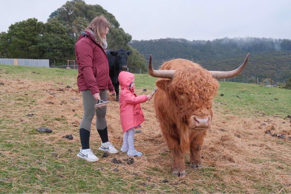 Ruby'S Cottage Farm Stay Port Arthur Eksteriør bilde